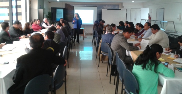 CNE dictó taller de capacitación para elecciones de Colegios Electorales