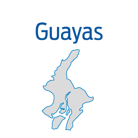 180914 cne guayas