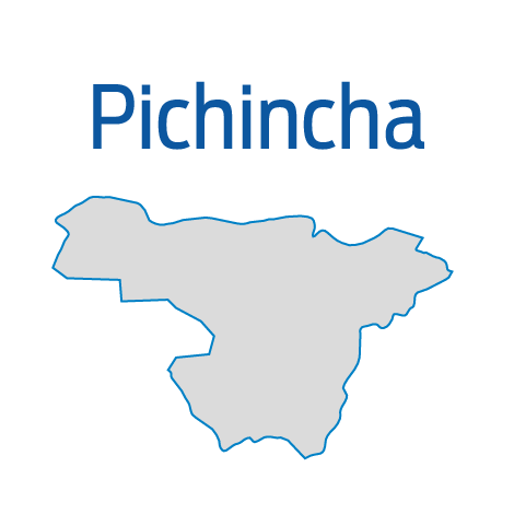 180914 cne pichincha