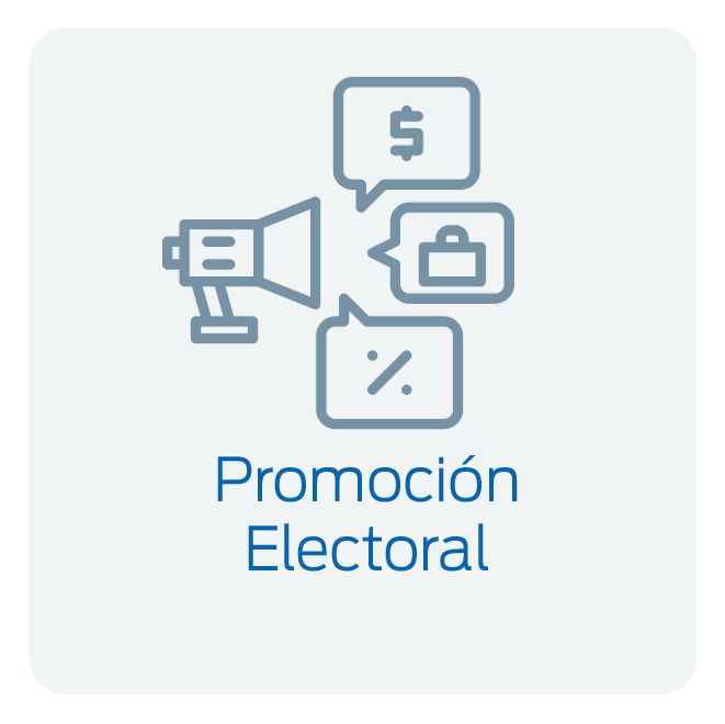 PromocionElectoral